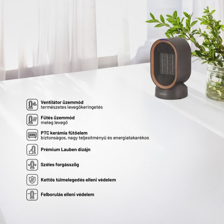 Lauben Desk Fan&Heater 2in1 600BB