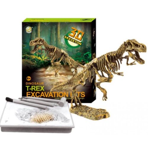 Dinoszaurusz régész készlet - T-Rex