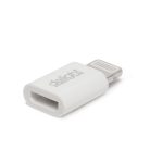 Delight Adapter - iPhone Lightning - MicroUSB