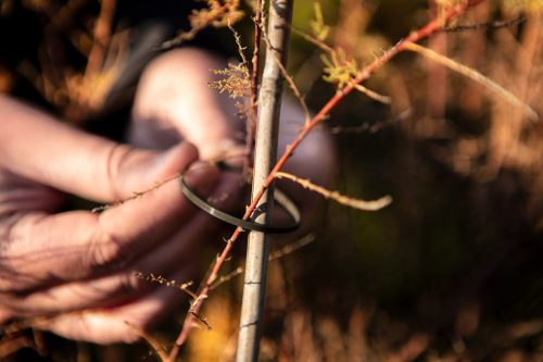 NEO TOOLS Kerti kötegelő, gyorskötöző 3,6x200mm, 50db, barna 15-974
