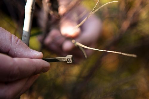 NEO TOOLS Kerti kötegelő, gyorskötöző 3,6x200mm, 50db, barna 15-974