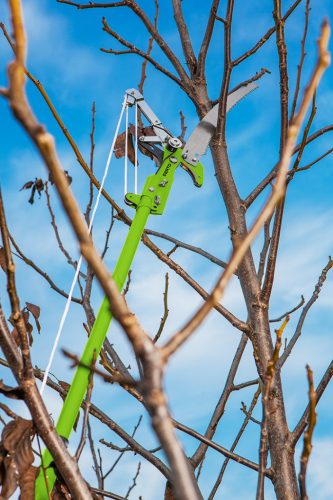 VERTO HERNYÓZÓ 220mm-ES FŰRÉSSZEL, KÖTÉLLEL, penge: 57mm 15G260