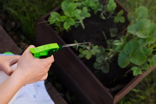 VERTO Kézi pumpás permetező 550ml 15G545