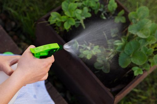 VERTO Kézi pumpás permetező 550ml 15G545