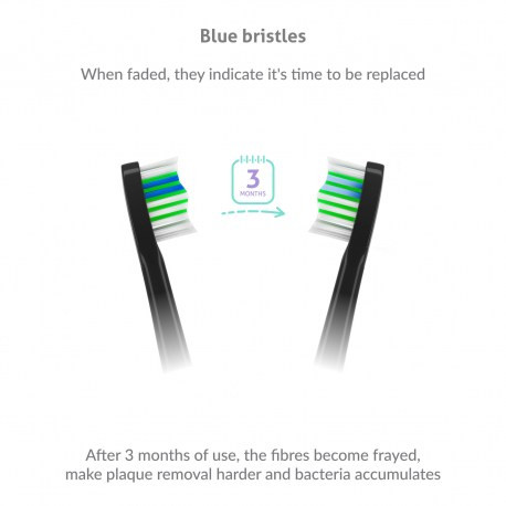 TrueLife Elektromos fogkefe pótfej, Black Standard