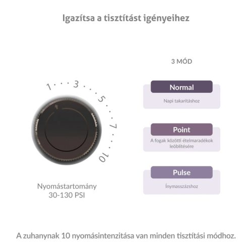 TrueLife AquaFloss Station F300 Szájzuhany Fekete