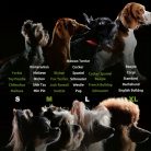 Halloween Deadly Doll Kisállat kutya jelmez