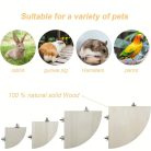 Stabil és biztonságos madár állvány – Könnyen felszerelhető sarokállvány