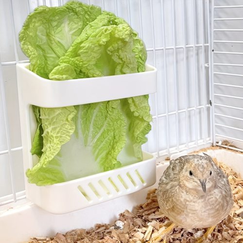 1db Gyümölcs Zöldség Tároló Tál Madaraknak