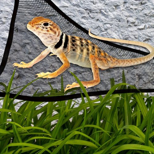 2db Légáteresztőfüggőágy hüllők számára