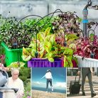 158.5 cm-es kihúzható tömlő 10 állítható csepegtető fejjel