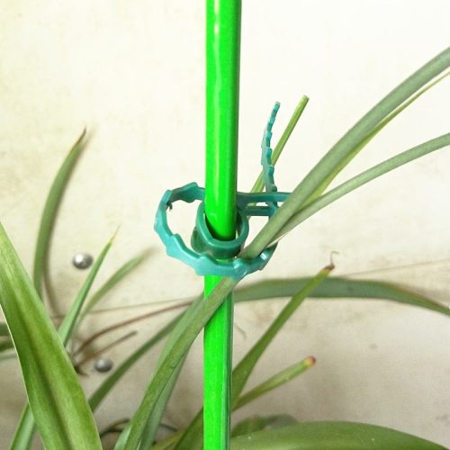 50db Állítható növénykötöző