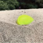 Puha szilikon  repülő korong