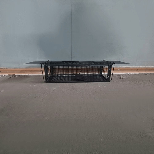 Rágcsálócsapda kalitka