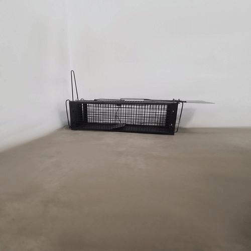 Rágcsálócsapda kalitka